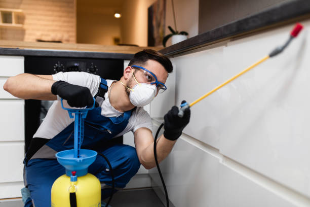 Best Cockroach Control Services  in Prophetstown, IL