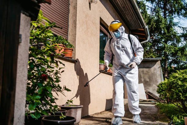 Best Best Pest Control Companies  in Prophetstown, IL
