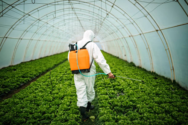 Best Pest Removal Services  in Prophetstown, IL