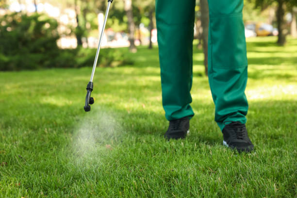 Reliable Prophetstown, IL Pest Control Solutions