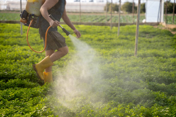 Best Pest Removal Services  in Prophetstown, IL