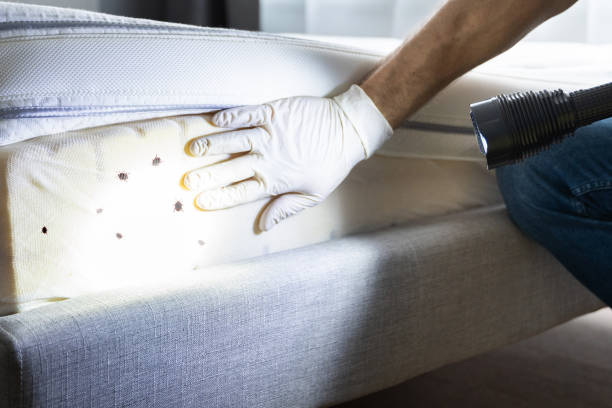 Best Pest Control for Homes  in Prophetstown, IL
