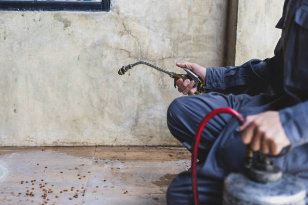 Best Rat Extermination Near Me  in Prophetstown, IL